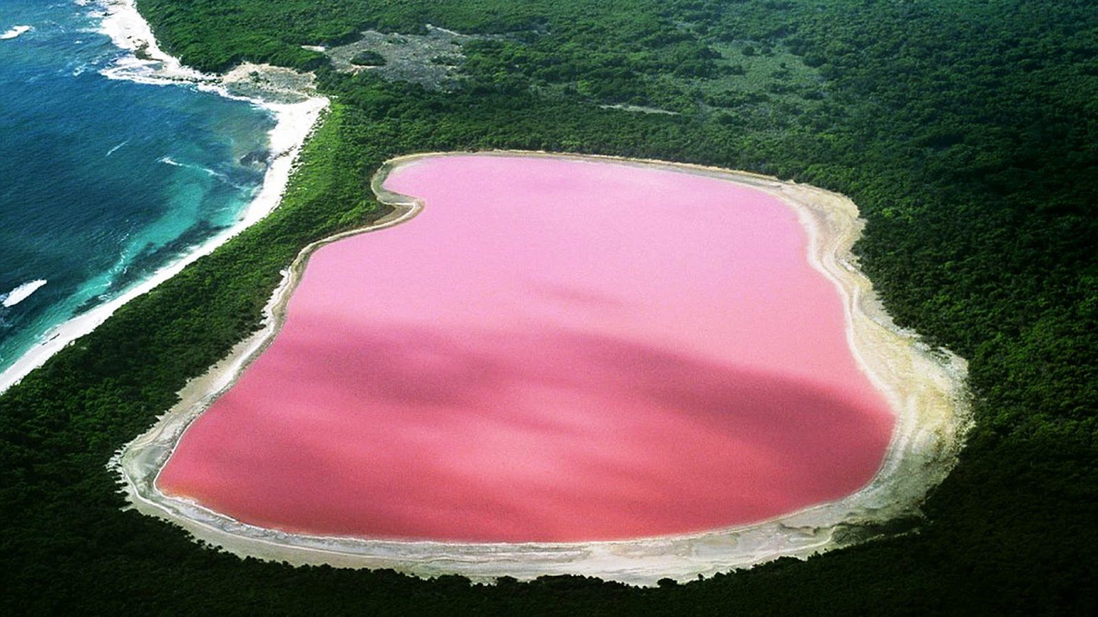 pink lake africa