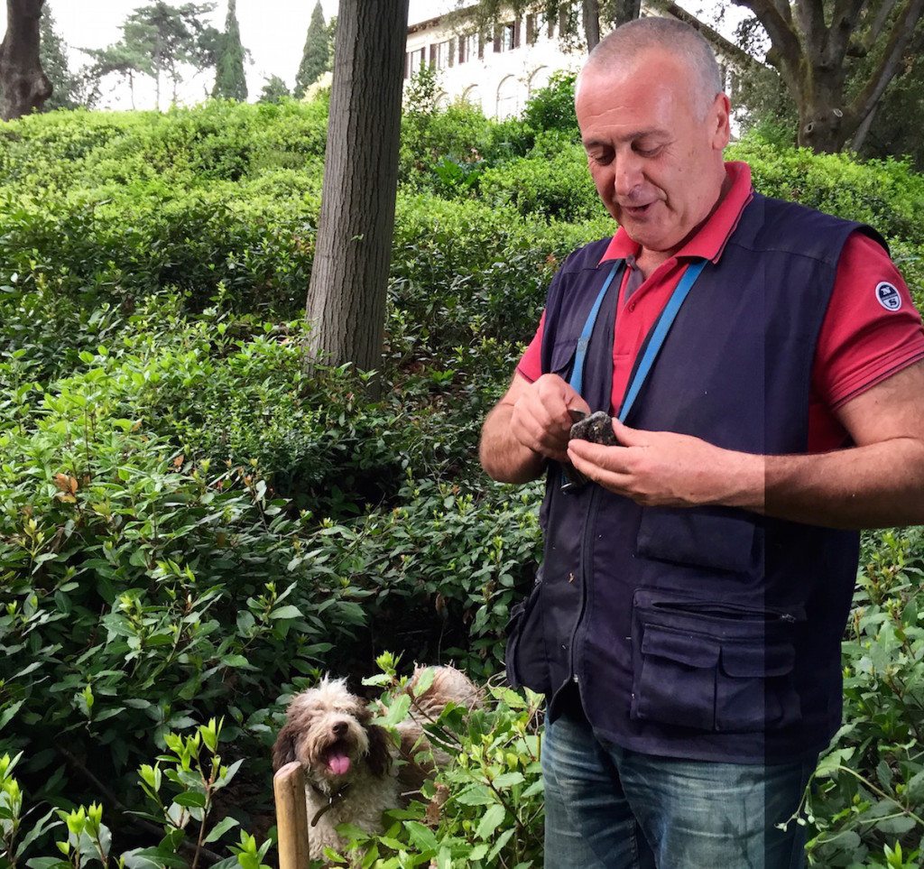 2. Truffle Hunting - Florence