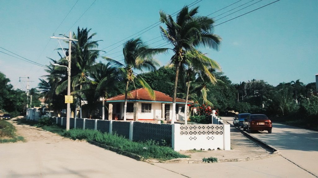 Puerto Colombia x Hayo