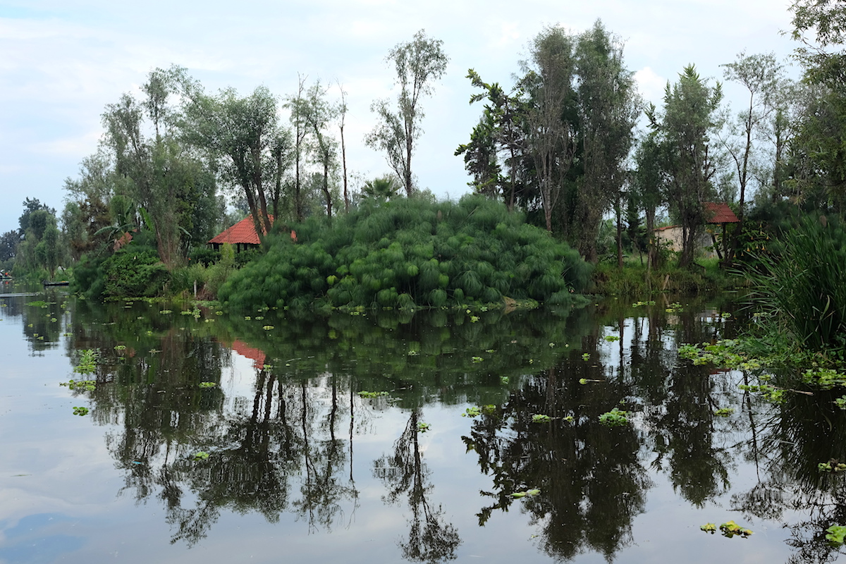 Xochimilco The Floating Gardens Of Mexico City Hayo Magazine